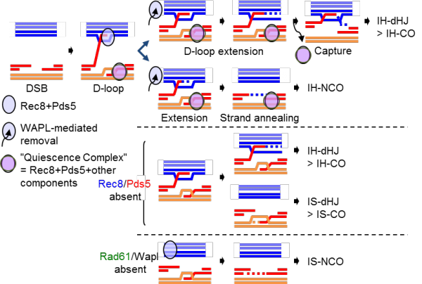 a475249672fbb208a6624ce6b7883e21_1578276138_8007.png